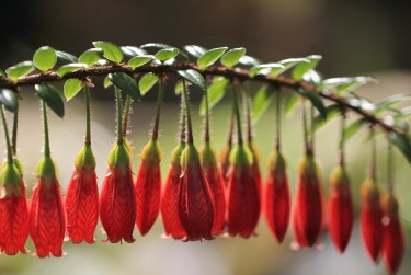 金华东阳零用贷短借：轻松解决临时资金需求